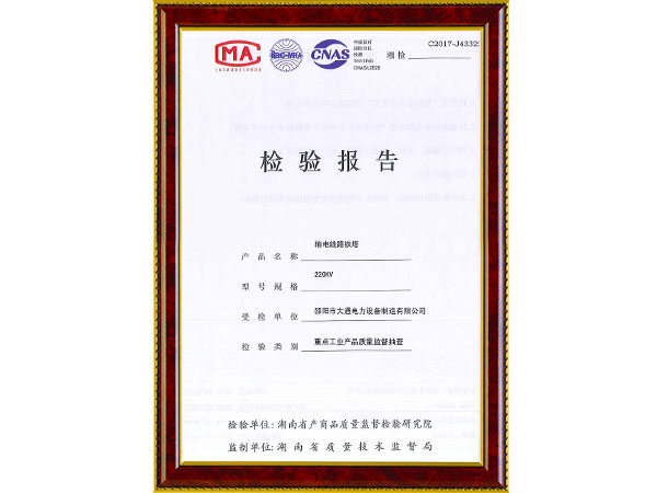 220KV鐵塔檢驗(yàn)報(bào)告