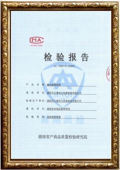 110Kv輸電線路鐵塔檢測(cè)報(bào)告